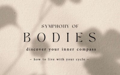 13. Mai – Symphony of Bodies