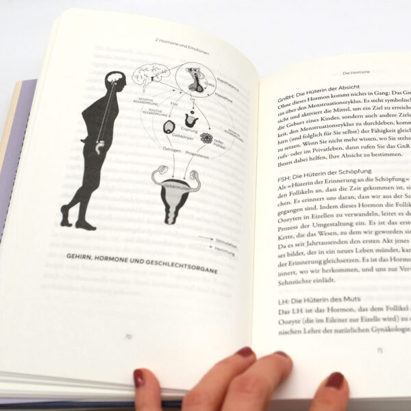 Buch "Heile deine Gebärmutter" von Maud Renard - innen